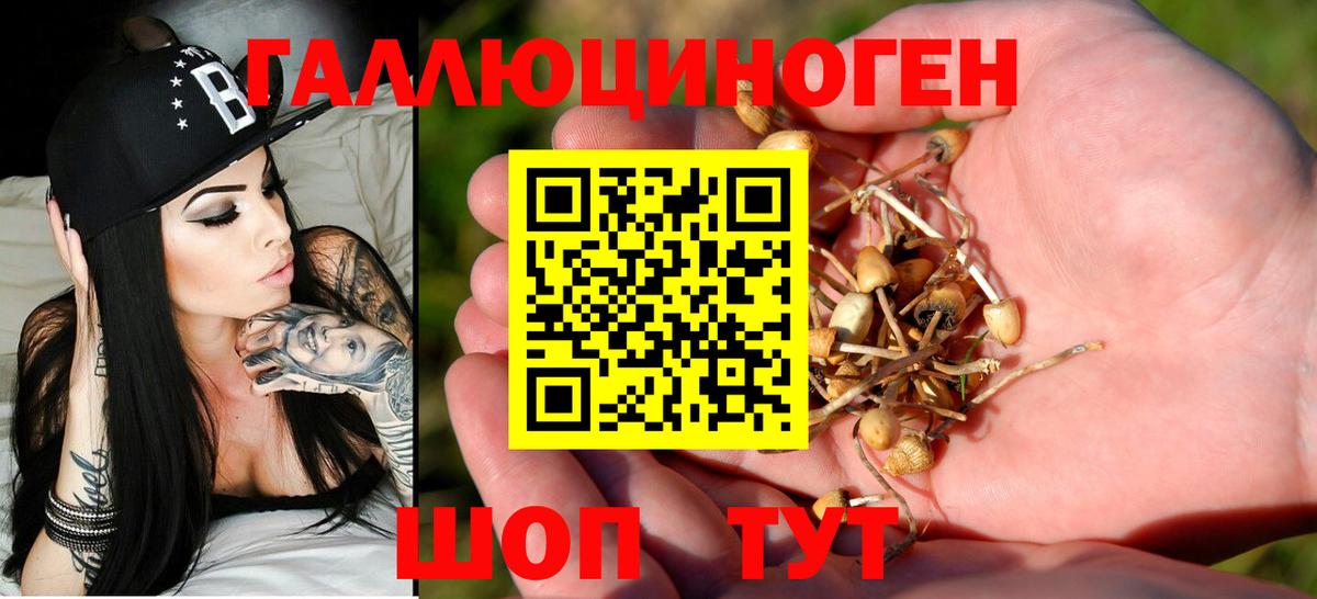 Псилоцибиновые грибы прущие грибы  Вход с VPN  Алейск 